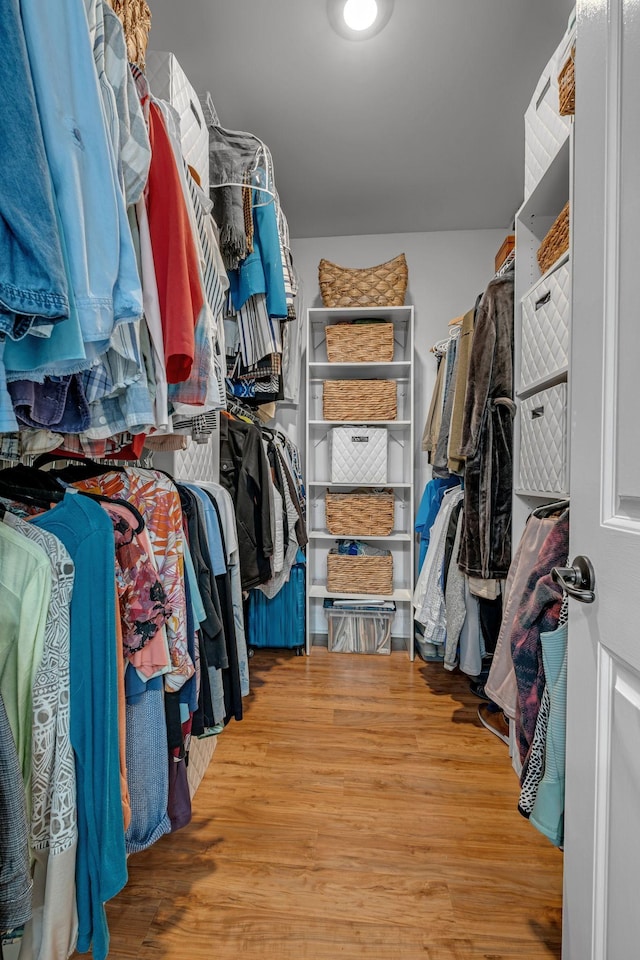 5190 Giardino Dr, Mount Juliet, TN 37122 - walk in closet featuring wood finished floors