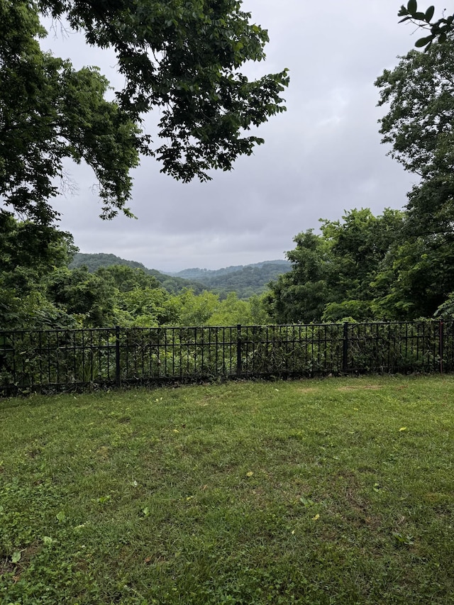 1607 Otter Creek Rd, Nashville, TN 37215 - view of yard