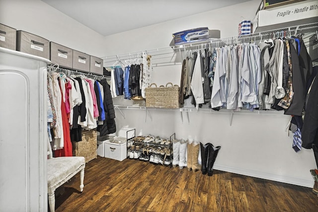 6013 Doster Rd, Smyrna, TN 37167 - walk in closet with wood finished floors