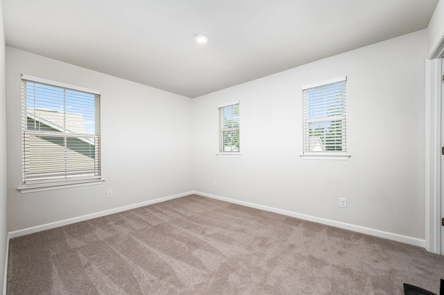 913 Fancher Ln, Joelton, TN 37080 - carpeted spare room with healthy amount of natural light and baseboards