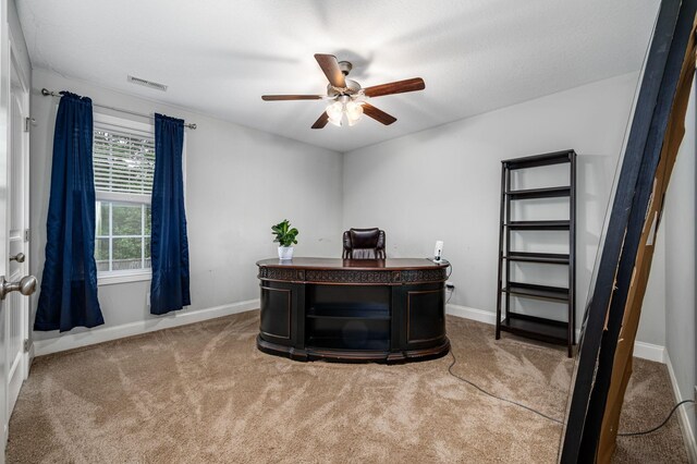 1513 Ellie Piper Cir, Clarksville, TN 37043 - photo 23