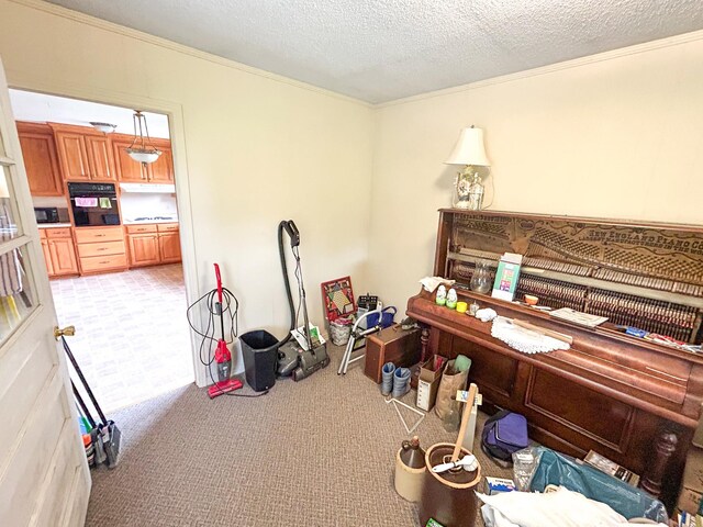 72 Allen Ln, Huntingdon, TN 38344 - carpeted home office with crown molding and a textured ceiling