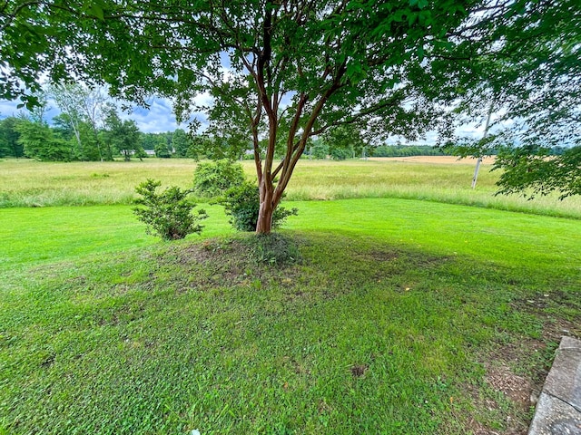 72 Allen Ln, Huntingdon, TN 38344 - view of green lawn featuring a view of countryside