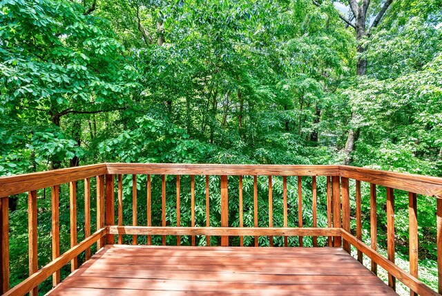 460 Martha Ln, Clarksville, TN 37043 - photo 21