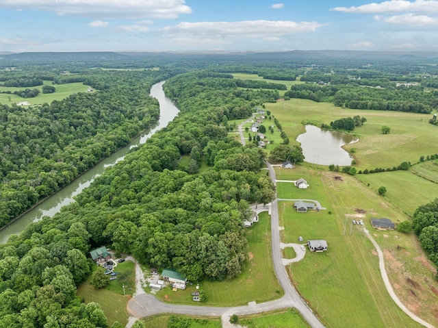 97 Collins River Dr, Rock Island, TN 38581 - photo 49