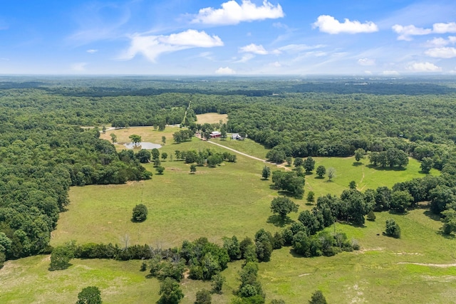 2824 Robert Truelove Rd, Columbia, TN 38401 - overview of rural landscape with a heavily wooded area