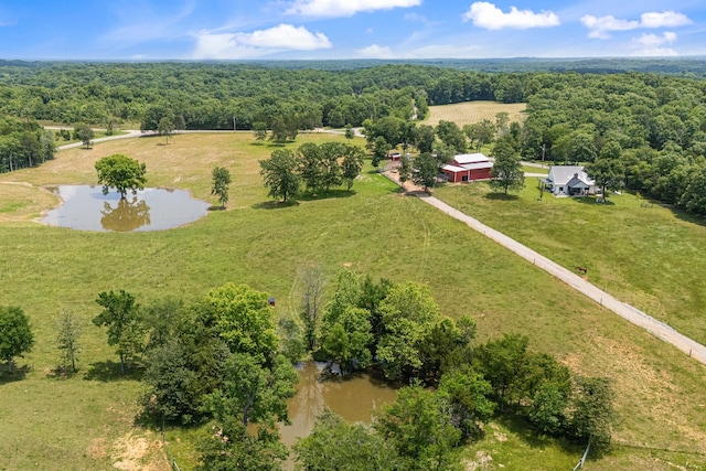 2824 Robert Truelove Rd, Columbia, TN 38401 - bird's eye view of a forest and a large body of water