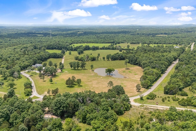 2824 Robert Truelove Rd, Columbia, TN 38401 - bird's eye view of a forest and a large body of water