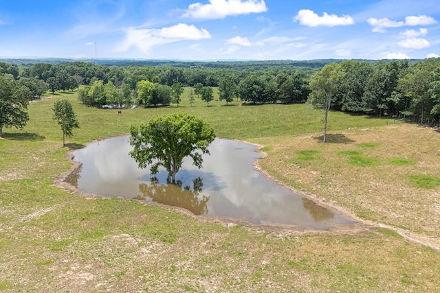 2824 Robert Truelove Rd, Columbia, TN 38401 - drone / aerial view of a nearby body of water