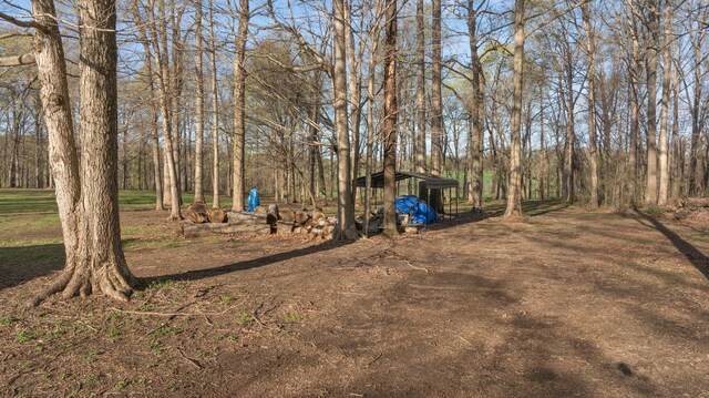 266 Campground Rd, Olmstead, KY 42265 - view of yard featuring an outbuilding