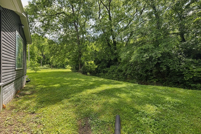 108 Mcafee Dr, Mount Pleasant, TN 38474 - photo 32