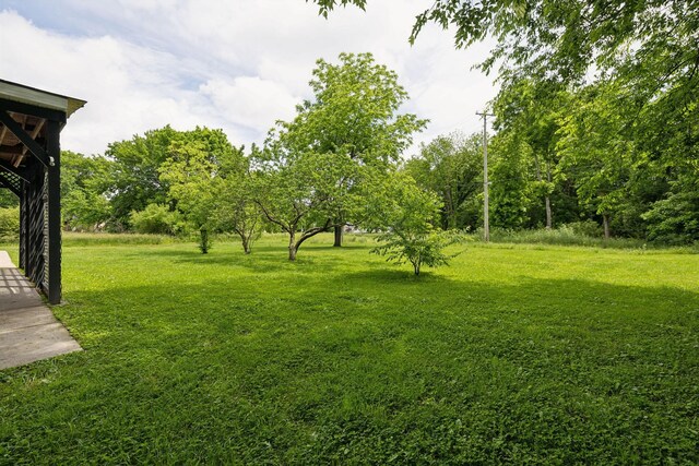 108 Mcafee Dr, Mount Pleasant, TN 38474 - photo 29