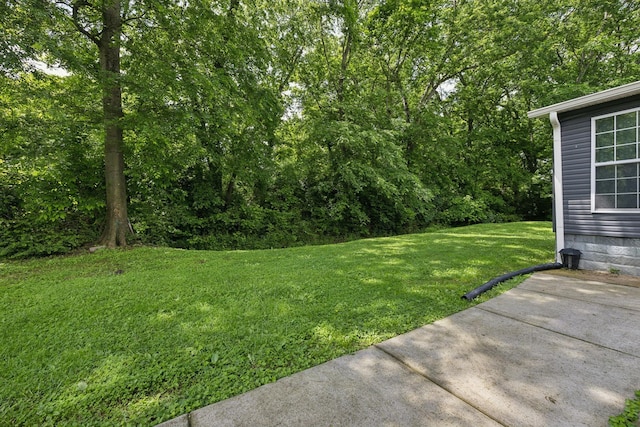 108 Mcafee Dr, Mount Pleasant, TN 38474 - photo 33