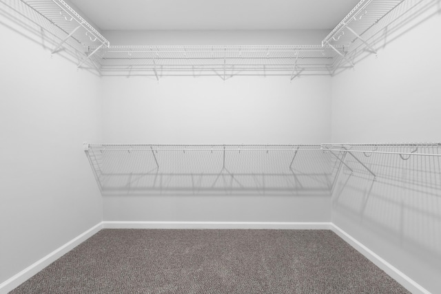 264 Kildeer Dr, Clarksville, TN 37040 - spacious closet with carpet