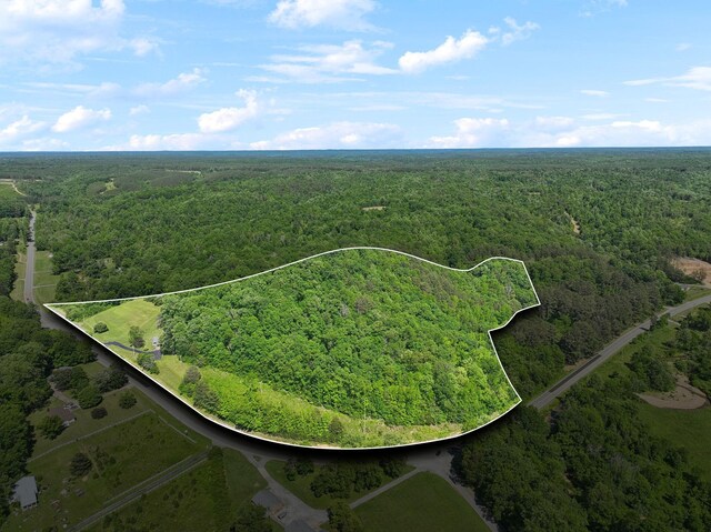1540 Centerville Hwy, Hohenwald, TN 38462 - aerial view of property's location with a forest and property parcel outlined