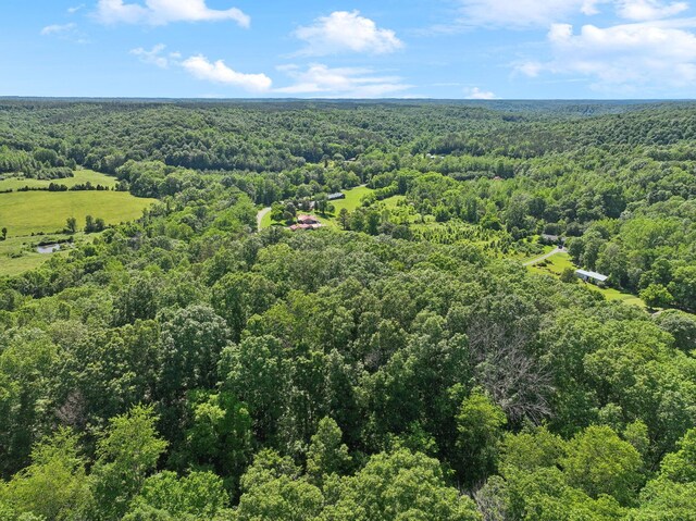 1540 Centerville Hwy, Hohenwald, TN 38462 - drone / aerial view of a heavily wooded area