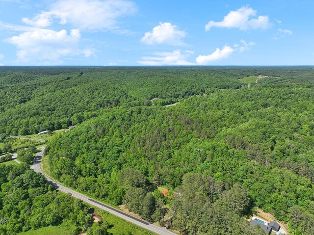 1540 Centerville Hwy, Hohenwald, TN 38462 - drone / aerial view of a forest