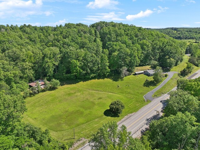 1540 Centerville Hwy, Hohenwald, TN 38462 - aerial view of a forest
