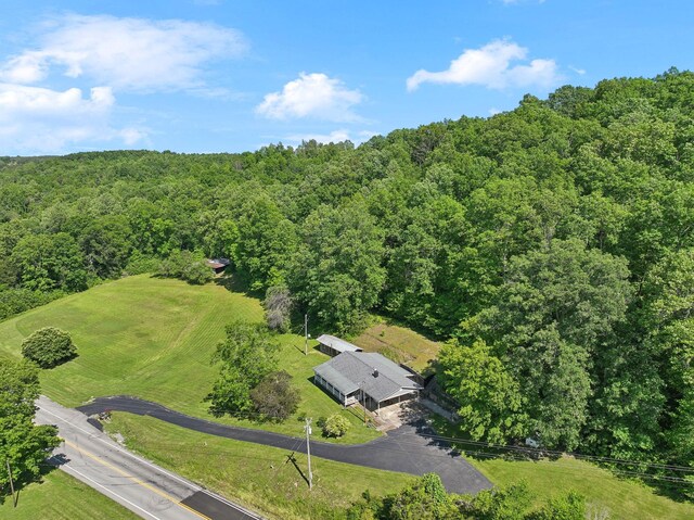 1540 Centerville Hwy, Hohenwald, TN 38462 - drone / aerial view of a heavily wooded area
