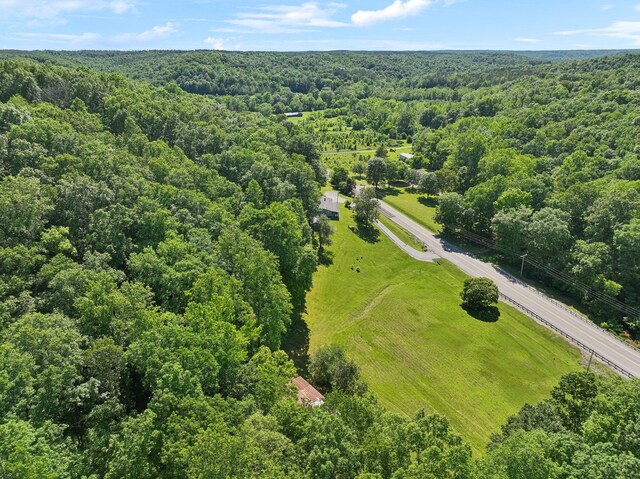 1540 Centerville Hwy, Hohenwald, TN 38462 - bird's eye view of a heavily wooded area