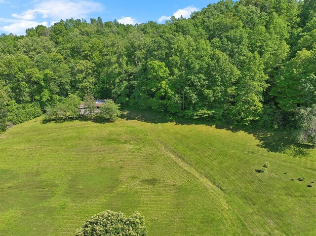 1540 Centerville Hwy, Hohenwald, TN 38462 - aerial view