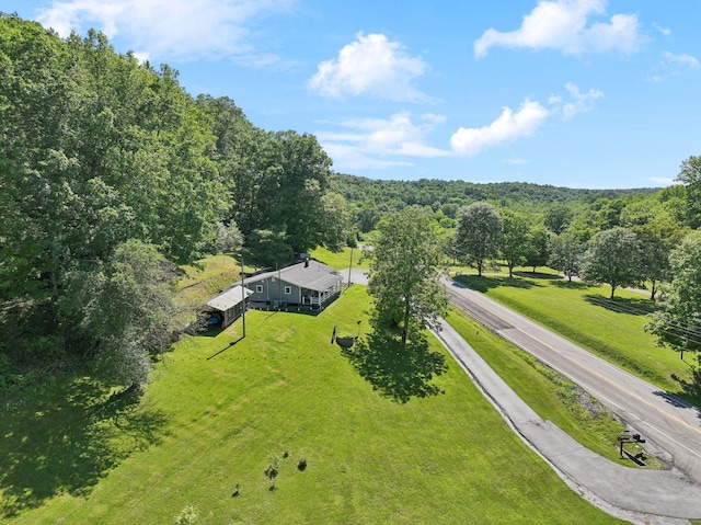 1540 Centerville Hwy, Hohenwald, TN 38462 - view of subject property featuring a forest