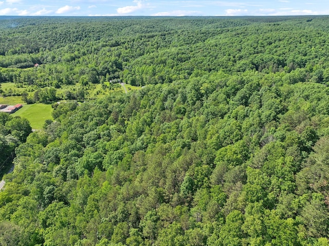 1540 Centerville Hwy, Hohenwald, TN 38462 - drone / aerial view of a forest