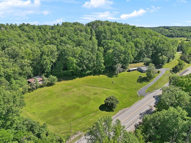 1540 Centerville Hwy, Hohenwald, TN 38462 - aerial view of a forest