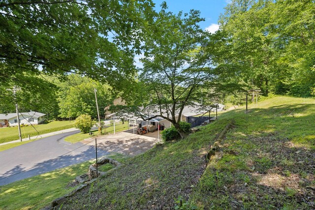 1540 Centerville Hwy, Hohenwald, TN 38462 - view of green lawn featuring driveway and a carport