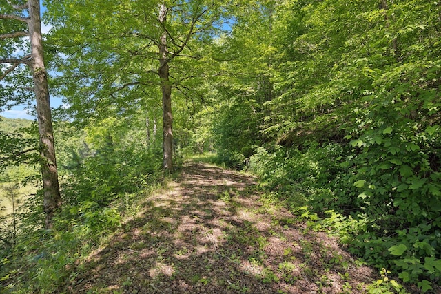 1540 Centerville Hwy, Hohenwald, TN 38462 - view of woods