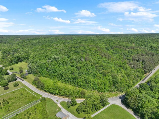 1540 Centerville Hwy, Hohenwald, TN 38462 - aerial overview of property's location featuring a forest