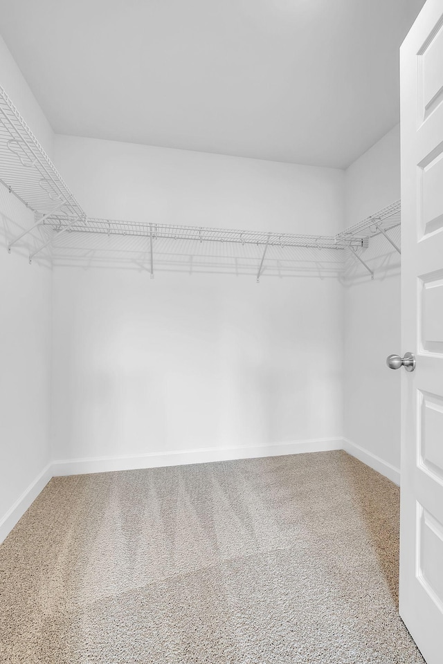 134 Beignet Aly, Hendersonville, TN 37075 - walk in closet featuring carpet floors
