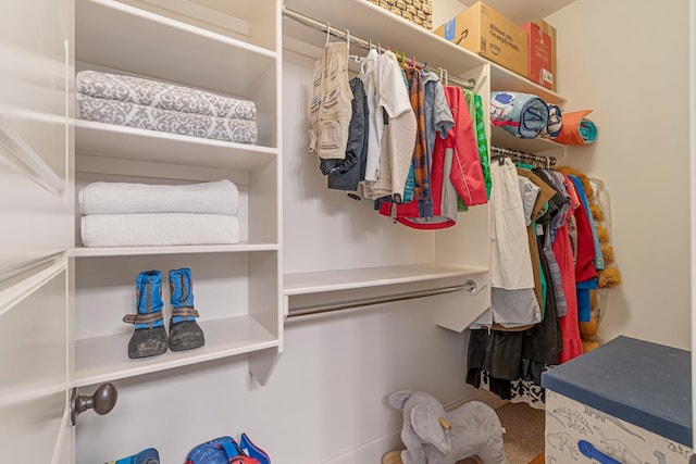 5540 Knob Rd, Nashville, TN 37209 - view of spacious closet