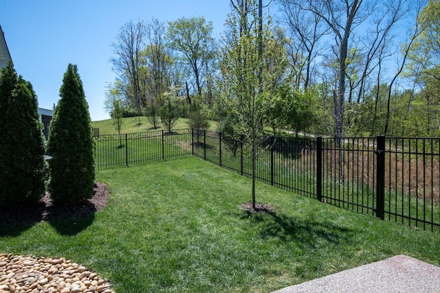 4042 Flowing Creek Dr, Franklin, TN 37064 - view of yard