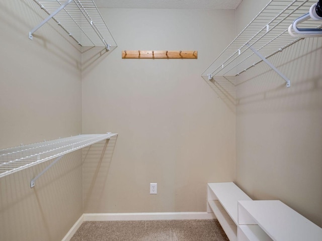 2999 Cages Bend Rd, Gallatin, TN 37066 - walk in closet with carpet