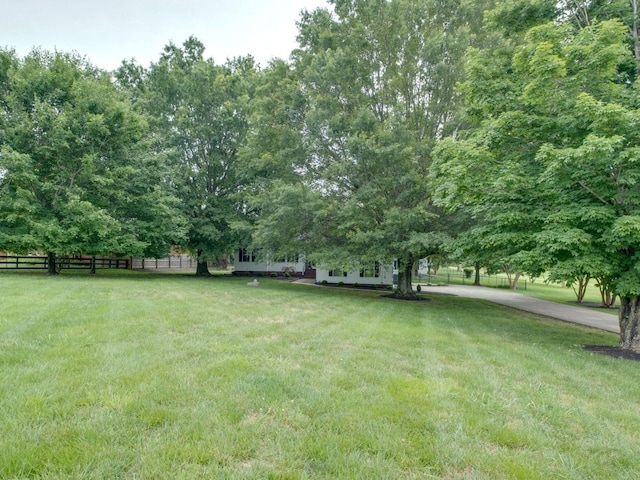 2999 Cages Bend Rd, Gallatin, TN 37066 - view of yard