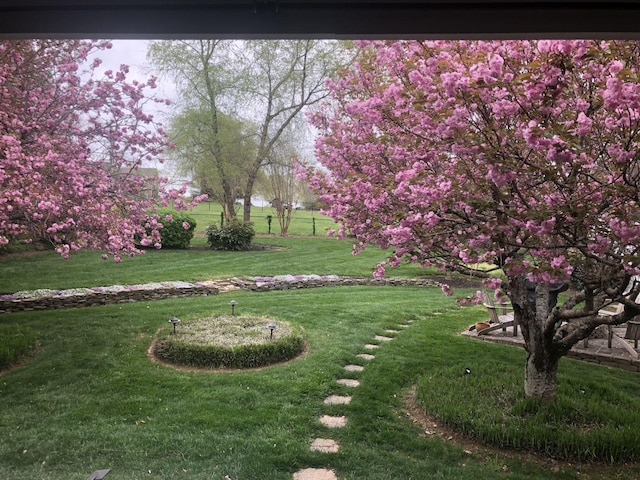 2999 Cages Bend Rd, Gallatin, TN 37066 - view of yard