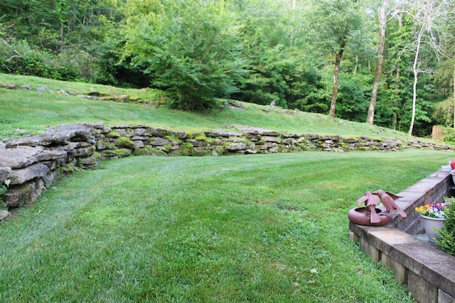 1008 Noble Cir, Franklin, TN 37069 - photo 46