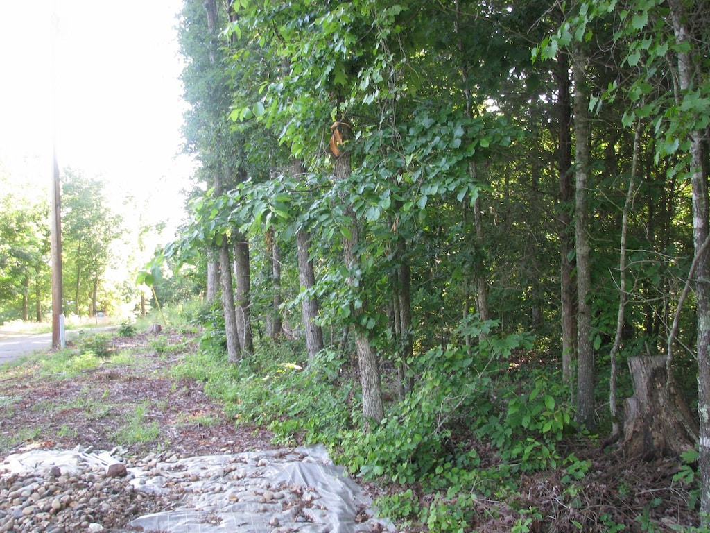 0 Big Richland Dr, Waverly, TN 37185