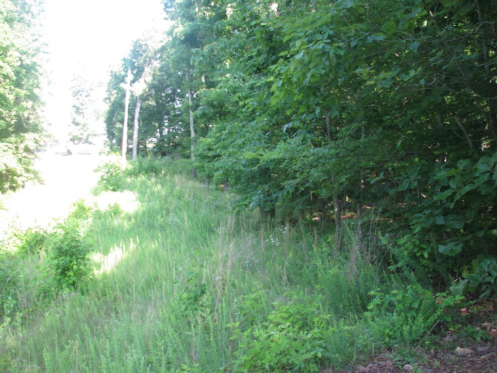 0 Big Richland Dr, Waverly, TN 37185