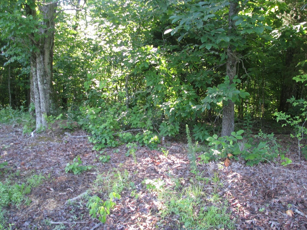 0 Big Richland Dr, Waverly, TN 37185