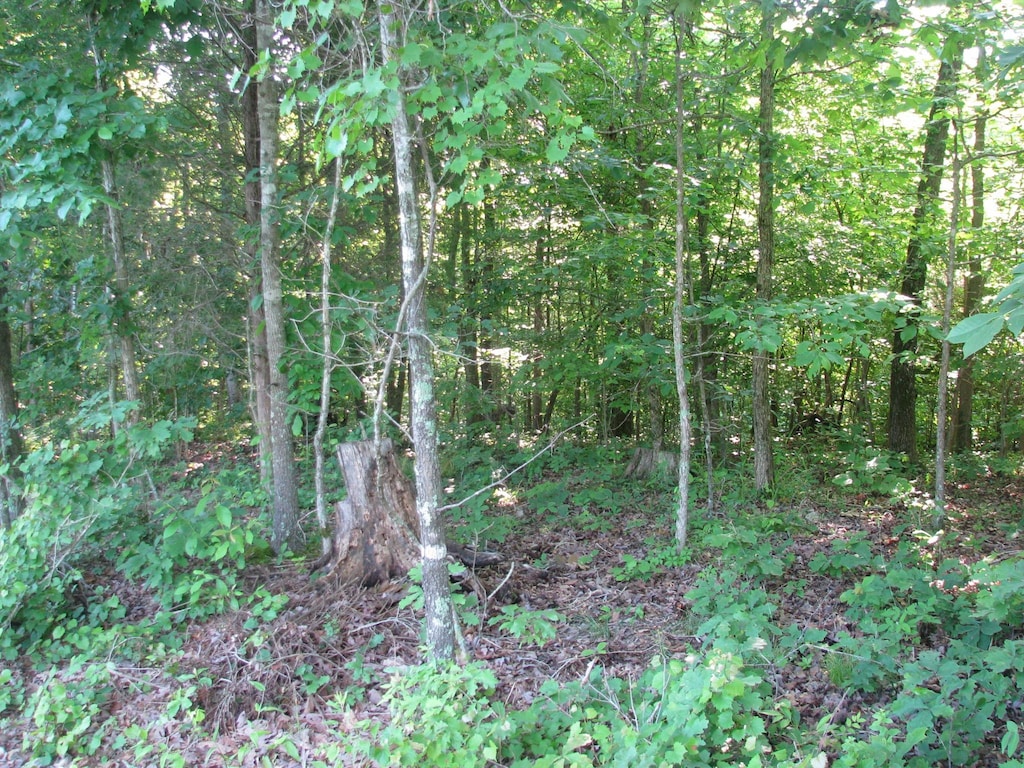 0 Big Richland Dr, Waverly, TN 37185