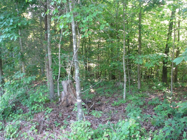 0 Big Richland Dr, Waverly, TN 37185