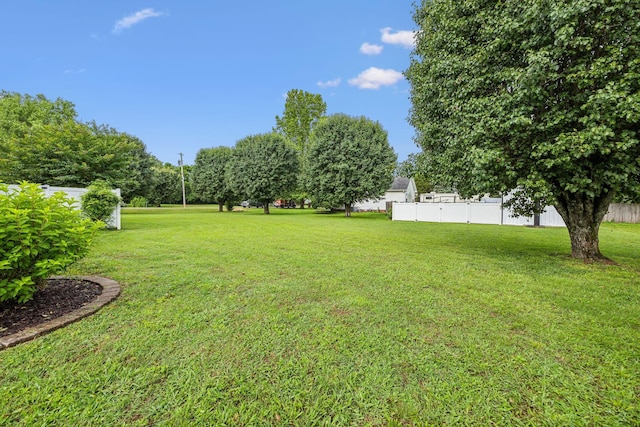 124 Mabry Dr, Murfreesboro, TN 37127 - view of yard