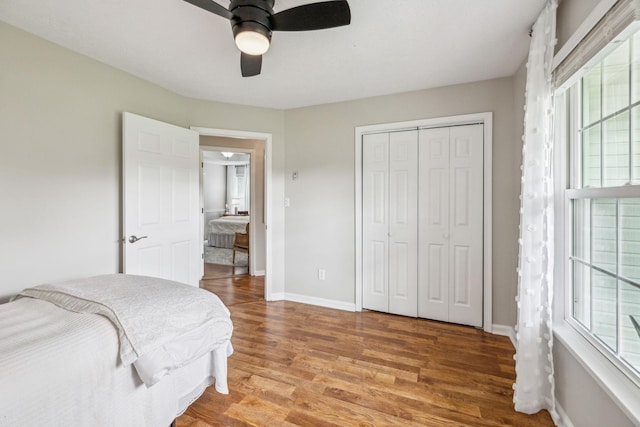 124 Mabry Dr, Murfreesboro, TN 37127 - bedroom with wood finished floors, multiple windows, a closet, and a ceiling fan