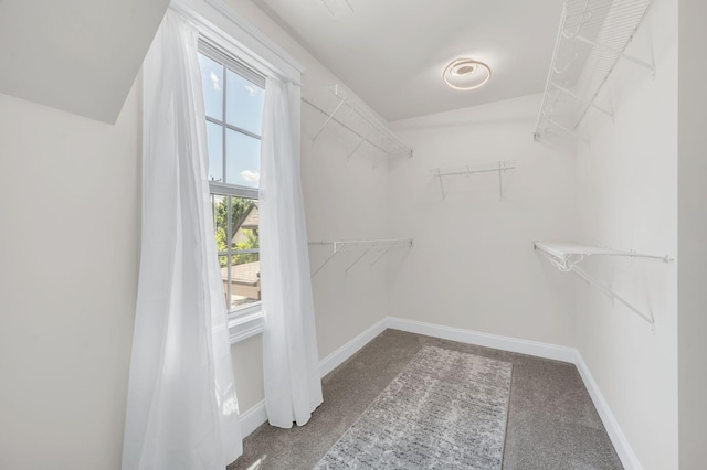 2734 Lakeland Dr, Nashville, TN 37214 - spacious closet with carpet floors