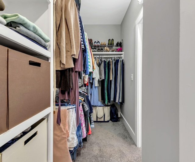5407 Tennessee Ave, Nashville, TN 37209 - walk in closet featuring carpet floors