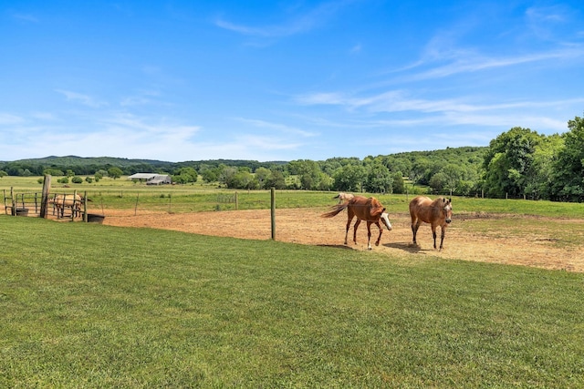 1034 Salem Rd, Lebanon, TN 37090 - view of green lawn with a view of rural / pastoral area