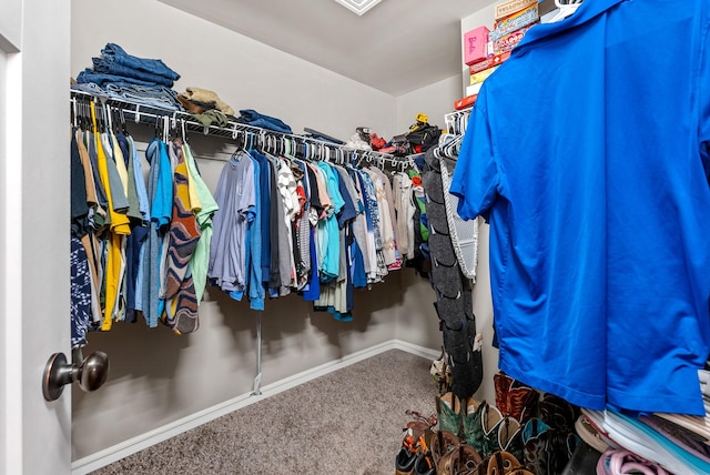 1310 Ray Broyles Rd, Sparta, TN 38583 - walk in closet featuring carpet floors