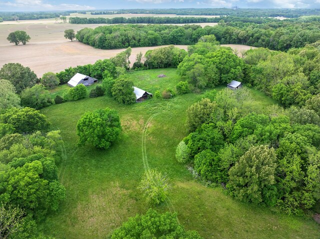 1565 Eli Brown Rd, Mc Kenzie, TN 38201 - photo 13